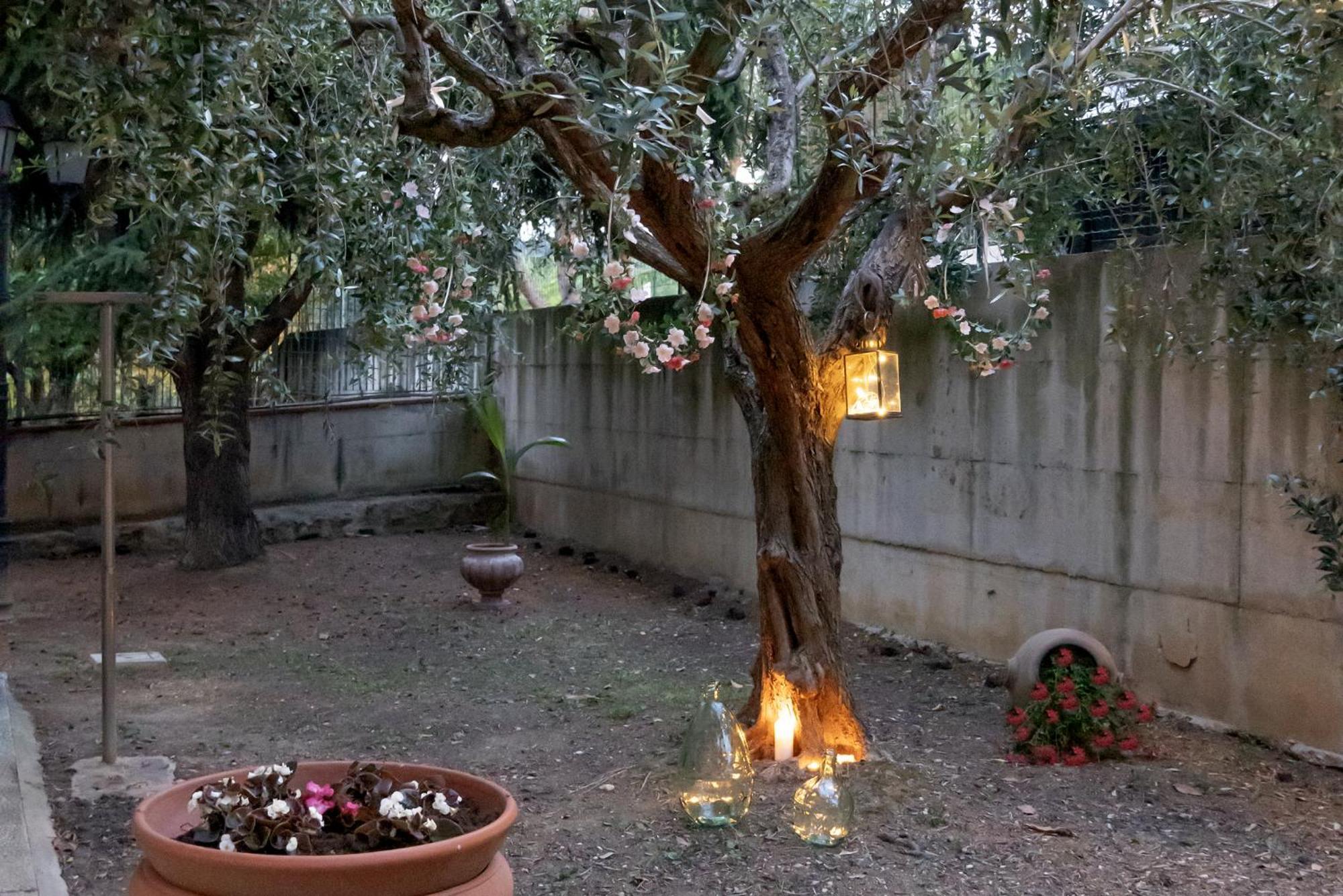 Appartement Il Giardino à Civitanova Marche Extérieur photo
