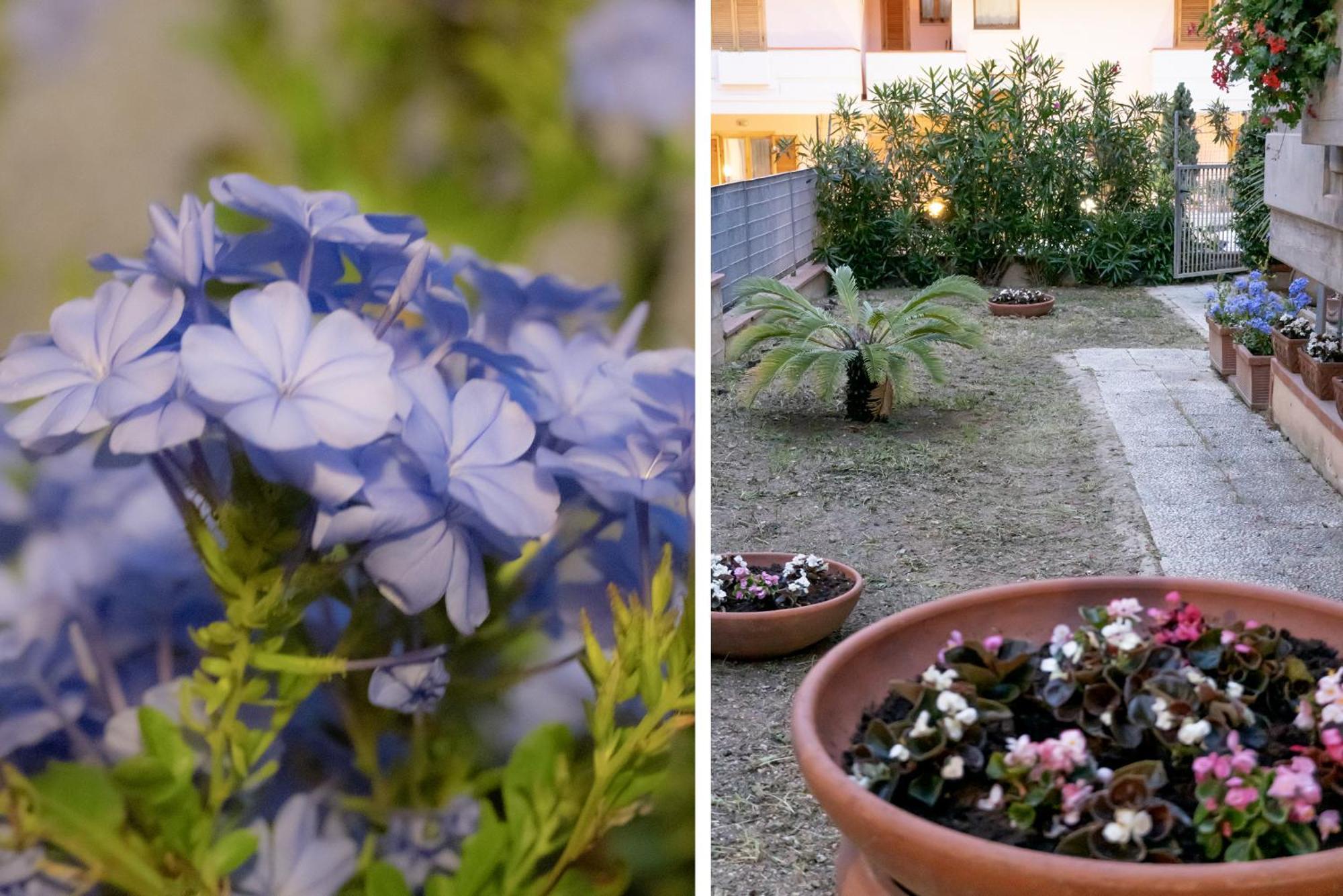 Appartement Il Giardino à Civitanova Marche Extérieur photo